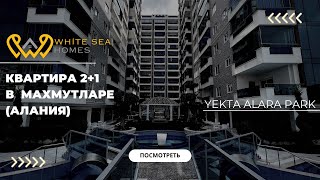 картинка: Квартира в Алании Yekta Alara Park 2+1 250 м от моря | Yekta Alara Park Apartment 2+1