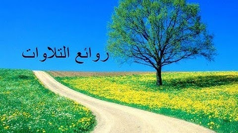 تلاوة رائعة بصوت القارئ الشيخ ماجد العقل | راحة نفسية سورة ال عمران