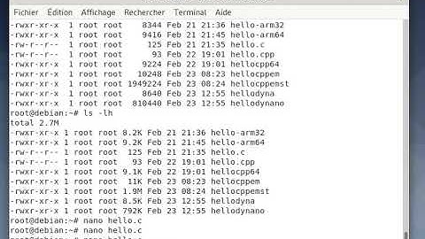 ARM32, Embedded : C/C++ Static Compilation for EXECUTION on QEMU with qemu-arm-static