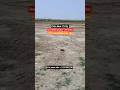 Plots Near IT City, Lucknow Sultanpur Highway #plots #lucknow #Sultanpurhighway #newplot #township