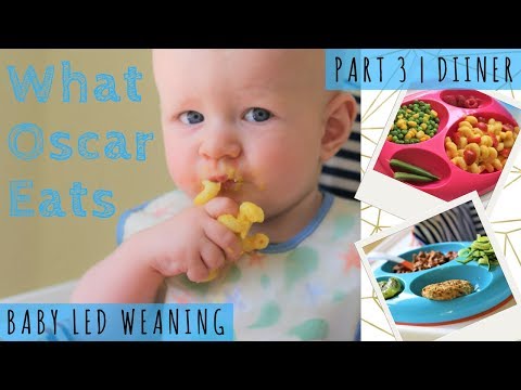 7-dinner-ideas-|-baby-led-weaning