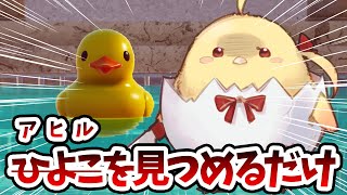 【Placid Plastic Duck Simulator】ひよこ、、、いや、アヒルを見つめるだけ【音乃瀬奏】#hololiveDEV_IS #ReGLOSS