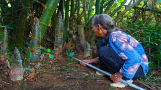 雨後竹筍猛長，2小時割一大袋，酸半缸能吃一年｜Guangxi grandmother makes traditional food from bamboo shoots｜广西 美食 玉林阿婆