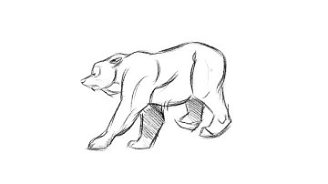 4-legged Animal Run Animation