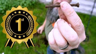My Perfect First Metal Detecting Adventure Step by Step Guide