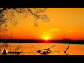 🔴 Sleep Music 24/7, Insomnia, Deep Sleep Music, Calming Music, Spa, Study, Relax, Sleep Meditation