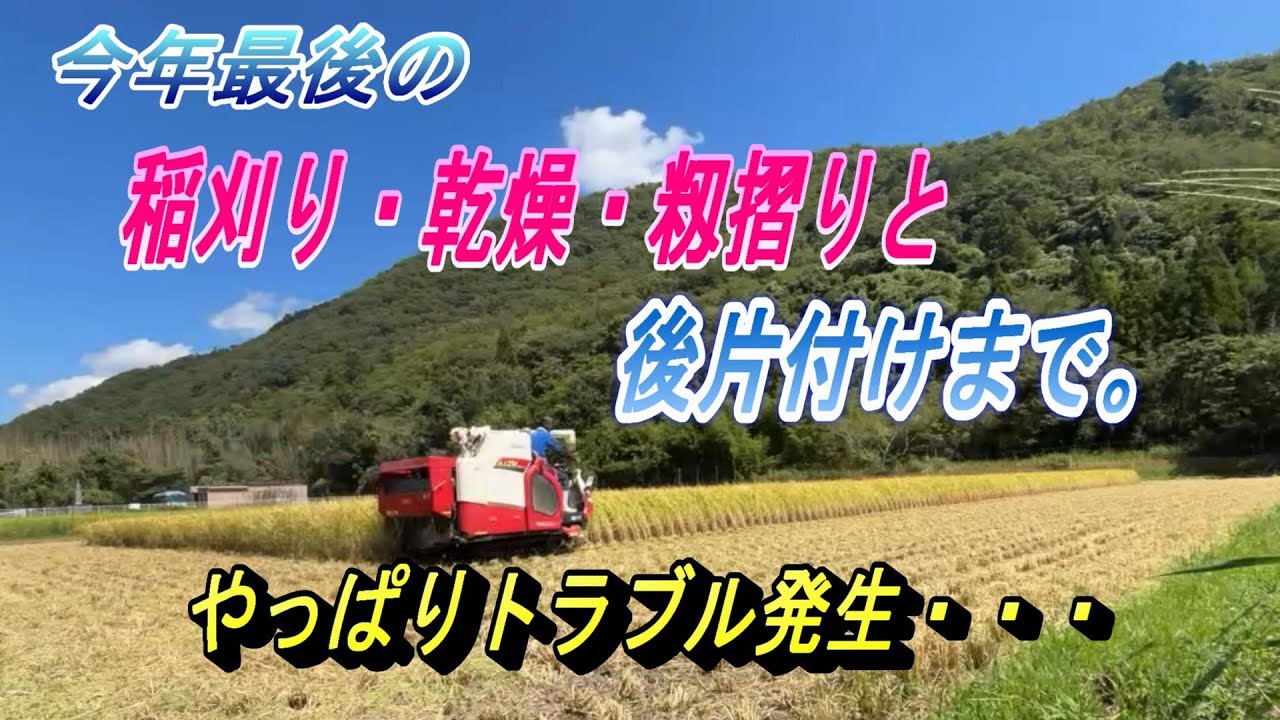 【田んぼ】2025年最後の稲刈り～籾摺りと片付けまで、でもプチトラブルが発生～。そして今年の収穫量はどうだ～。