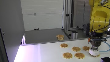 Robotic Packaging System - Cookies II