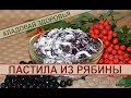 Рецепт домашней пастилы из красной и черноплодной рябины - как приготовить полезный десерт