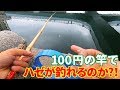 【100円でフルセット?！】100均延べ竿持ってハゼ釣りに行ってきた！［クローバー橋］