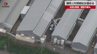 【速報】豚熱、1万頭殺処分進める 佐賀2例目、埋設作業も