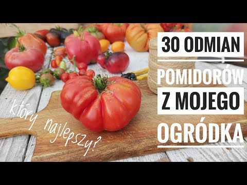 Wideo: Czym Różnią Się Pomidory Od Pomidorów? Różnica W Warunkach. Czy Można Nazywać Warzywo - Pomidorem Lub Pomidorem?