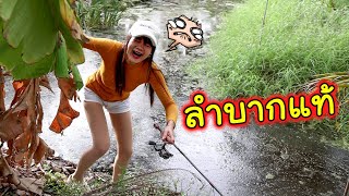 ตกปลาช่อนร่องสวน ตกยาก แต่กัดง่าย | สมเดย์ หน้ากลมสมเดย์