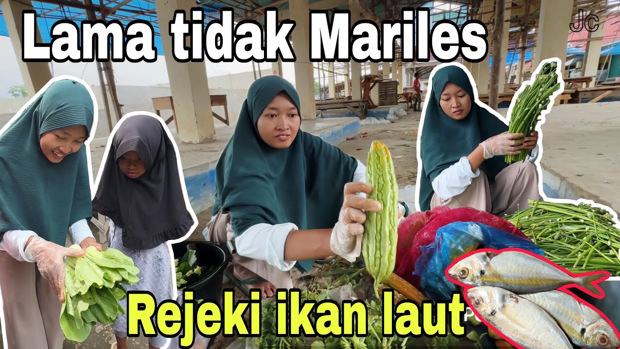 LAMA TIDAK MARILES ALHAMDULILLAH REJEKI IKAN DAN SAYUR⁉️ KALAU BERUSAHA PASTI ADA AJA JALAN NYA 