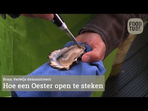 Video: Soorte oesters: volledige lys. Soorte oesters vir pêrels