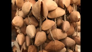 KENARI SEEDS SHAKER