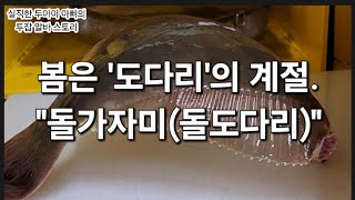 봄은 '도다리'의 계절. "돌가자미(돌도다리)".