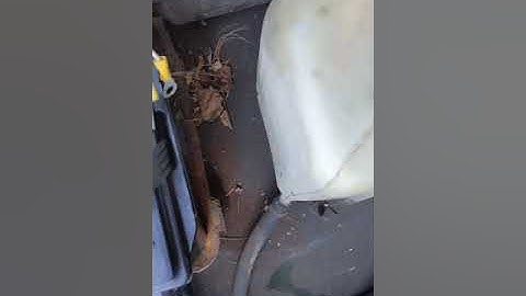 4l60e transmission no computer