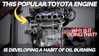 THIS Popular Toyota Engine is Getting in a Habit of Consuming Oil. Let's Find Out Why