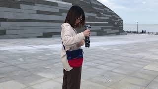 Kingjoy C80B00 Professional Desk Top Tripod