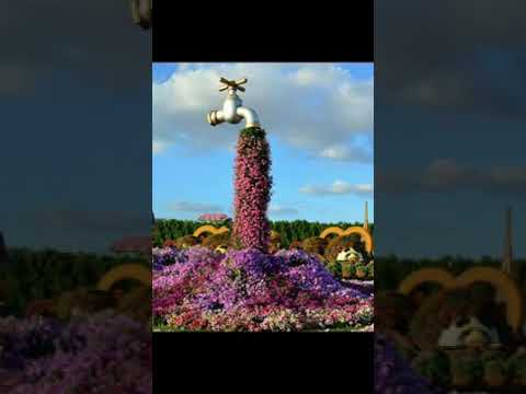 من التراث الاردني
