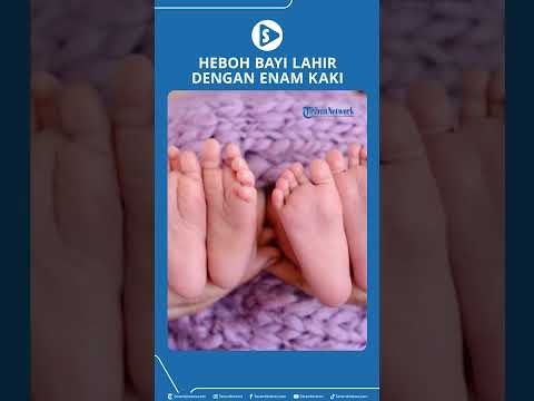 Video: Siapakah kaki enam?