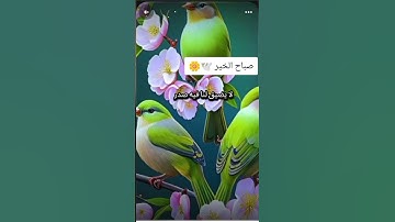 دعاء الصباح #اذكار_الصباح #يارب #دعاء #اكسبلور #المصحف #دويتو #انتبهوا #دعاء #لايك #صباح_الخير