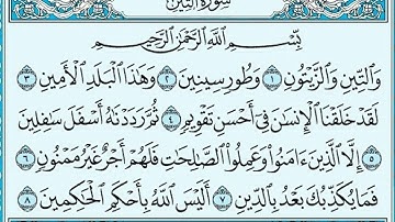 سورة التين ، ناصر القطامي 🌺