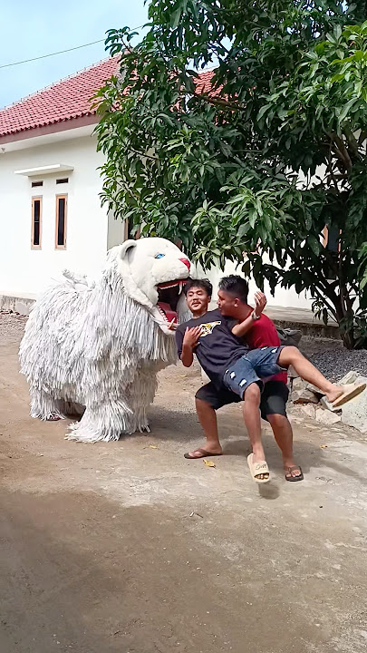 Ngajak main adik malah dimakan can macanan