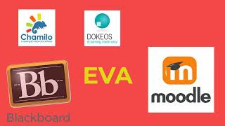 Virtual Learning Environments Virtual Learning Environments