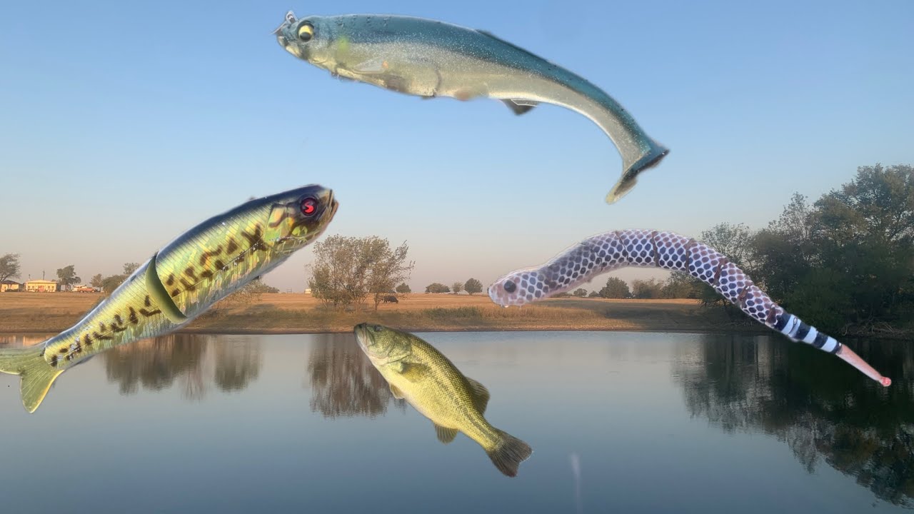 Big Bait Fishing! Decent bass caught!