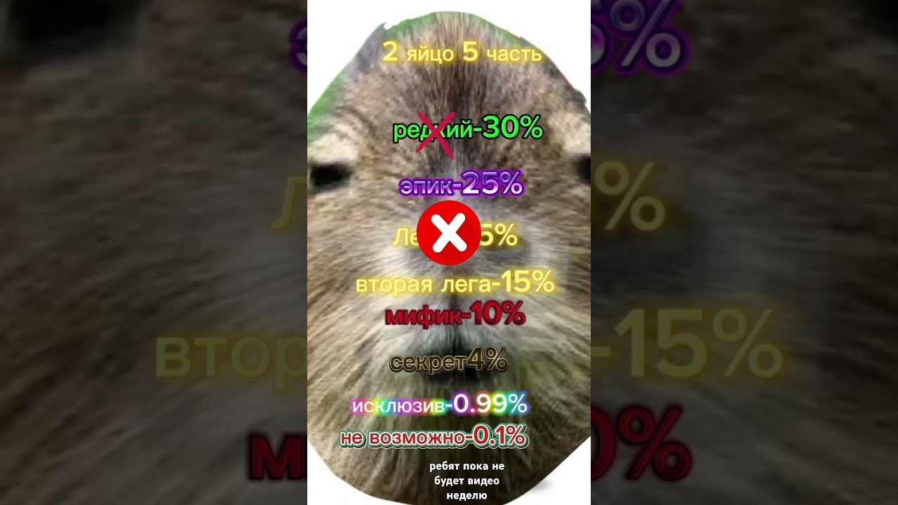 какая кабибара тебе выпадет 