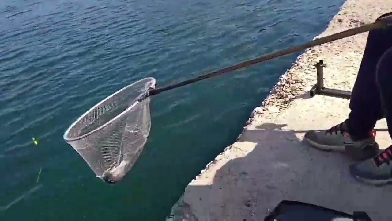 ψάρεμα με την τεχνική του bolognese, (bolognese fishing) αρματωσιά, βάση, άλλα χρήσιμα και ψάρεμα