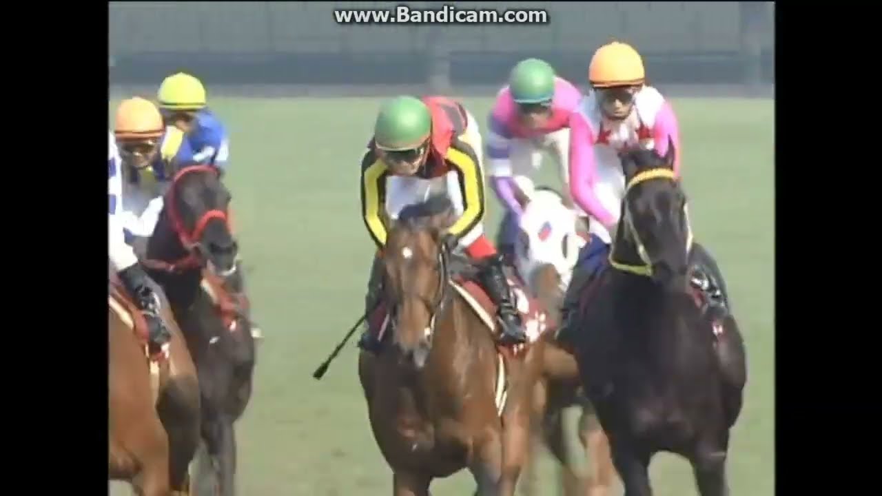 2009 産経大阪杯 (GII) ドリームジャーニ - YouTube