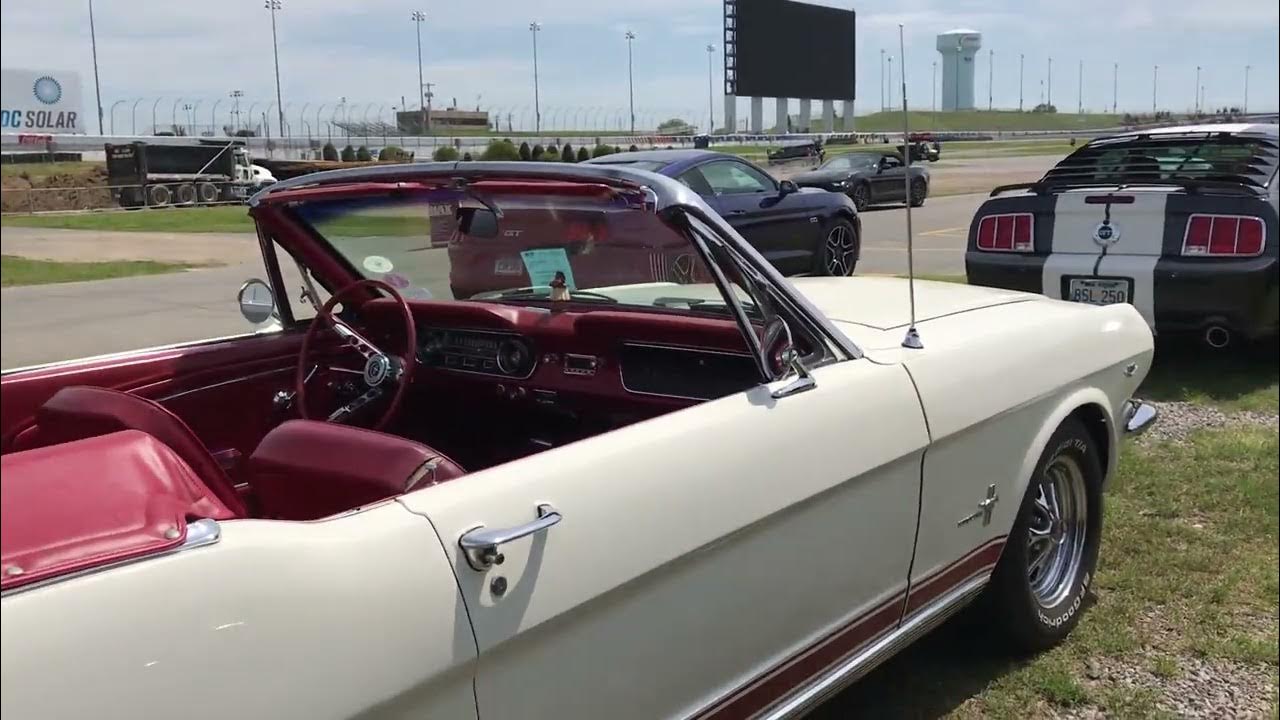 Ford mustangs en Charlotte North Carolina - YouTube