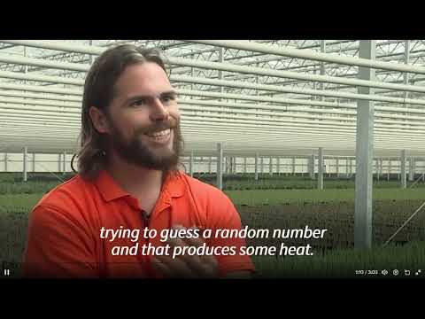 Bitcoin Crypto News 821x farm in the Netherlands uses #Bitcoin mining to keep stable temperatures