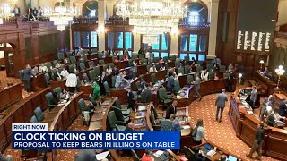 Compromise proposal on the table to keep Bears in Illinois as lawmakers race against time