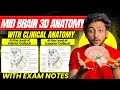 Neuroanatomy- Midbrain | All Transverse Sections | MBBS 1st Year | Full Explanation | MBBS World