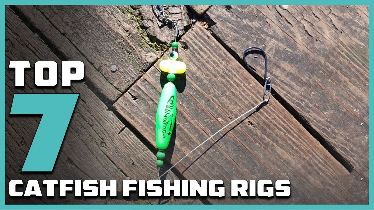 Top 7 Best Rigs for Catfish Fishing in 2024