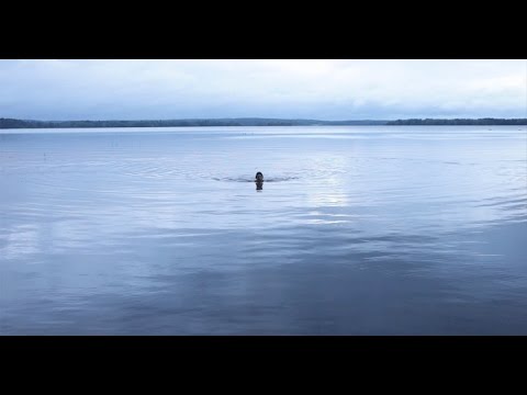 8 Artists On Water