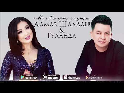 Алмаз Шаадаев &