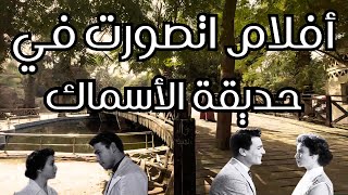 حديقة الأسماك بالزمالك | تاريخ من الحب والرومانسية egyptian_streets cairo_egypt walking_in_cairo