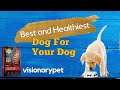 Best and healthiest dog food