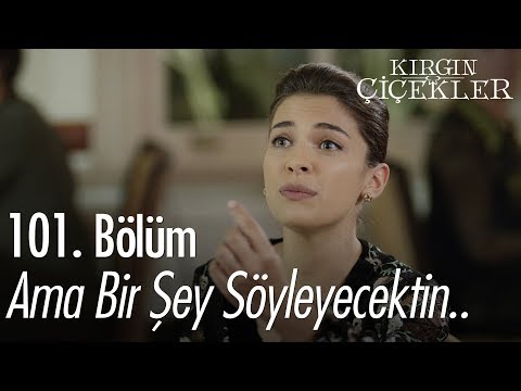 Ama Bir şey Söyleyecektin Kırgın Çiçekler 101 Bölüm