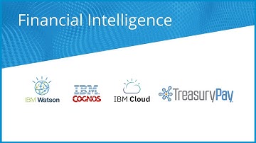 IBM | Treasury Pay Financial Intelligence - Video Overview