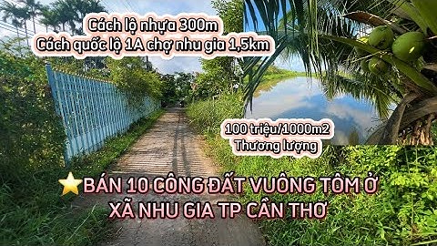 ⭐️ BÁN 10 CÔNG ĐẤT VUÔNG TÔM MẶT TIỀN LỘ OTO Ở XÃ NHU GIA TP CẦN THƠ #bđs_đầu_tư