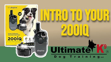 E-Collar Intro Video | Dogtra 200IQ
