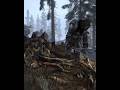 Skyrim, Dragon #elderscrolls #gameplay #skeleton #skyrim #oblivion