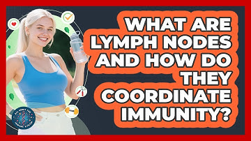 What Are Lymph Nodes And How Do They Coordinate Immunity? - All About the Immune System