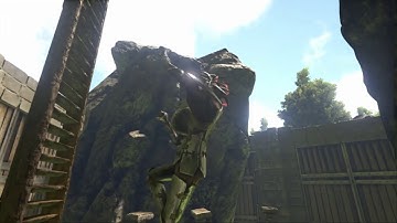 Ark ladder glitch